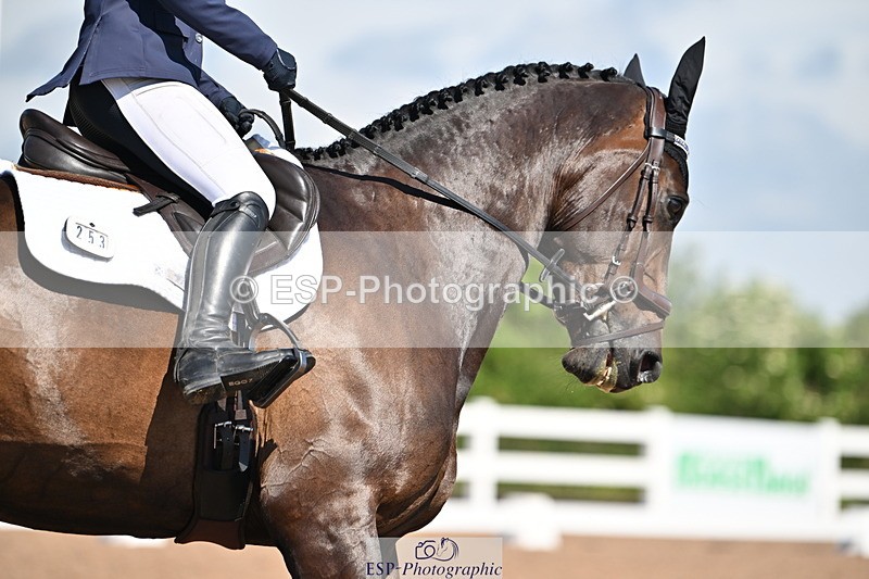 240621A-102325-01357 - Cls 4 BD Novice 22