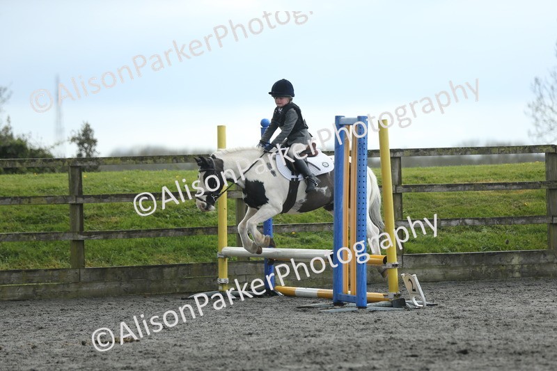20260412-1948 - Show Jumping