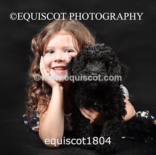 equiscot1804 - BONNIE