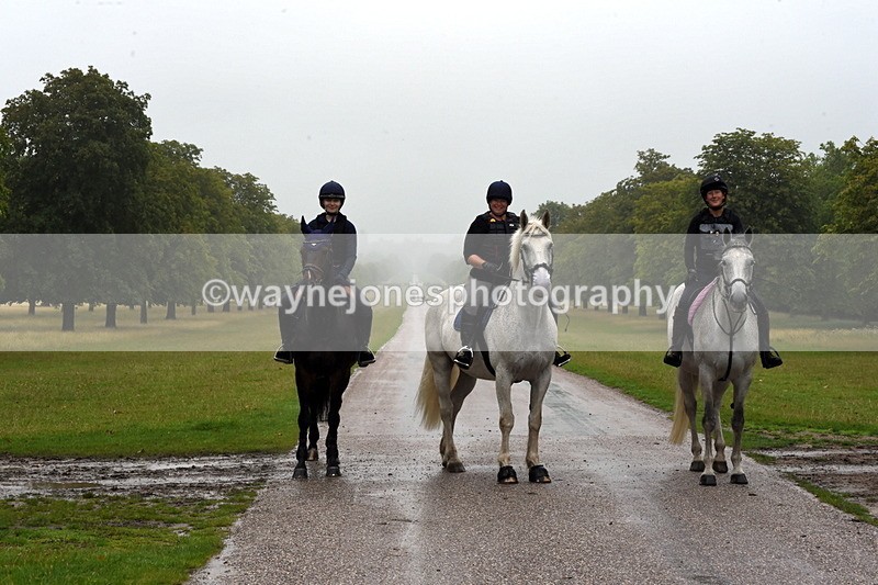 TT3_8481 - Time at Crossing 10:16 to 11:38