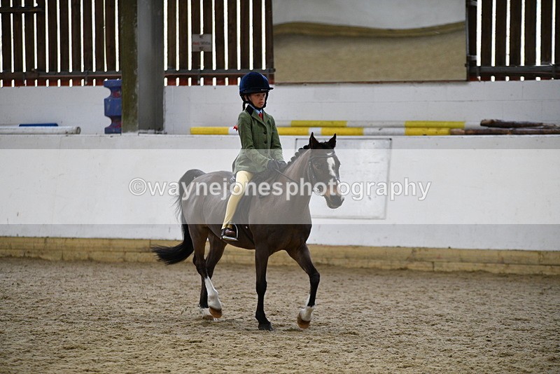 WJ5_6843 - Class 10 Childs Pony
