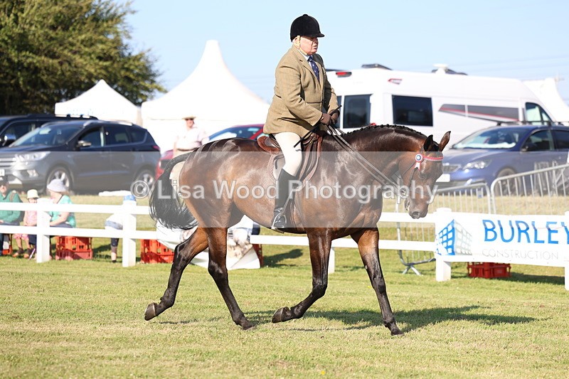 3E7A5286 - Class 2: Rising Star Large Hack/Riding Horse
