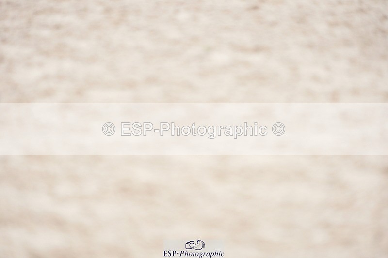 230924A-105916-05079 - 100 SJ Start to 11.00