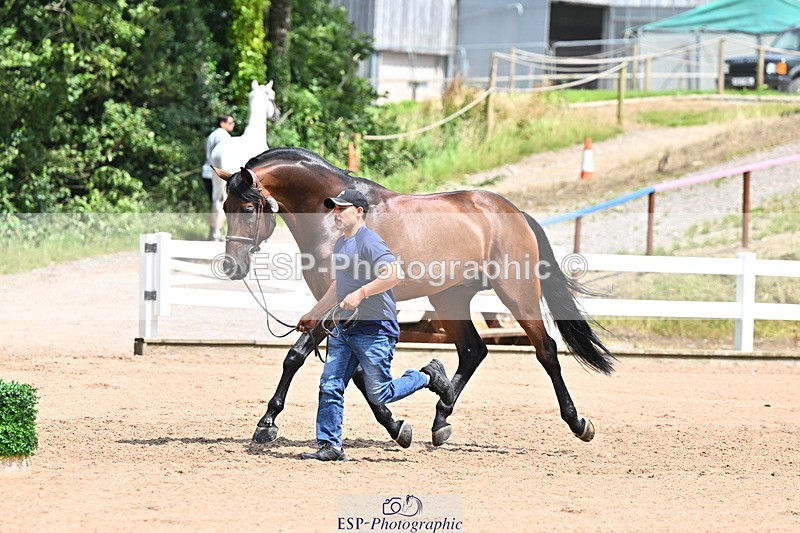 240718A-105307-01588 - Trot Up 1pm to 2pm