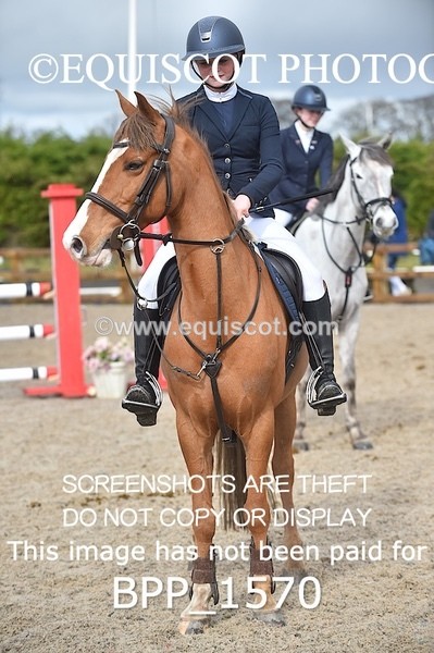 BPP_1570 - CLASS 7 Pony Discovery / 90cm Open