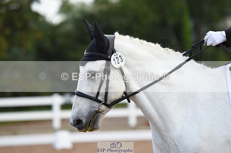 230912A-094046-00119 - Cls 4 Novice 22