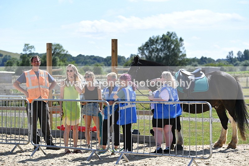 WJ5_4962 - Poles on the Floor
