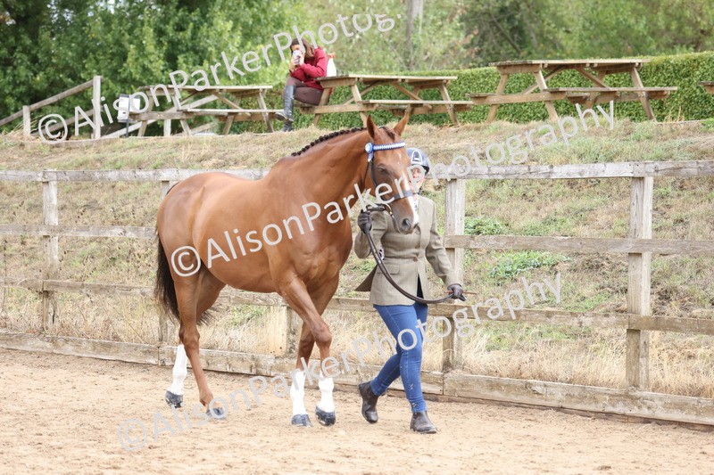20260831-1883 - Class 5 - Retraining of Racehorses