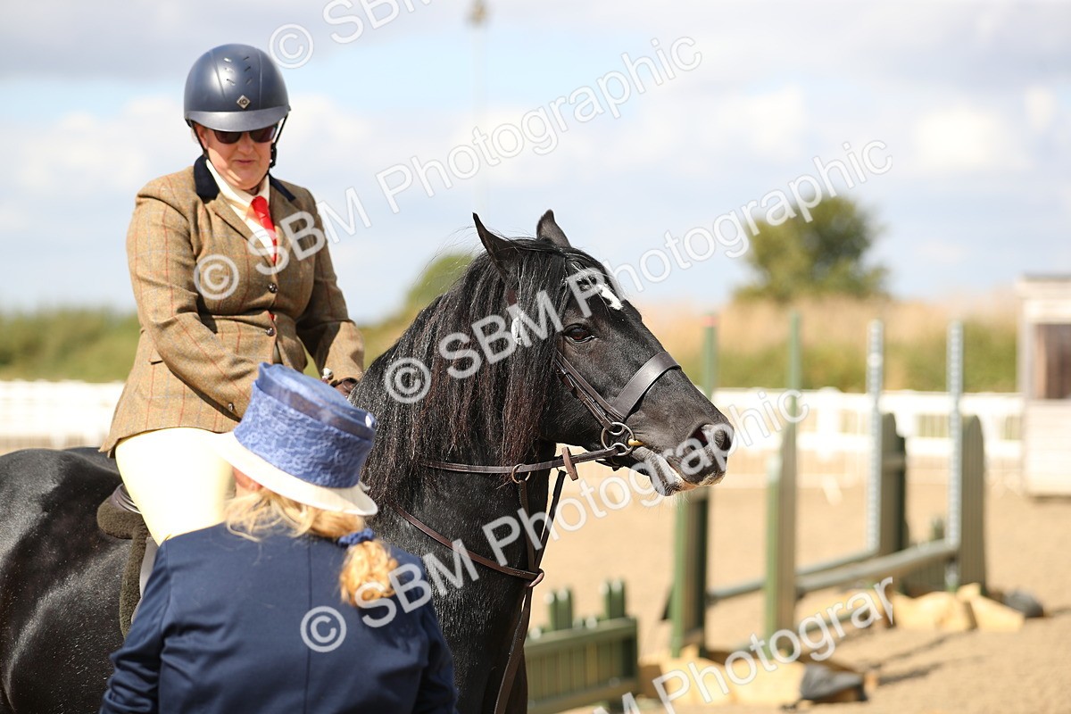 SBM_04253 - Class 46a Style & Performance 50cm (15-19)