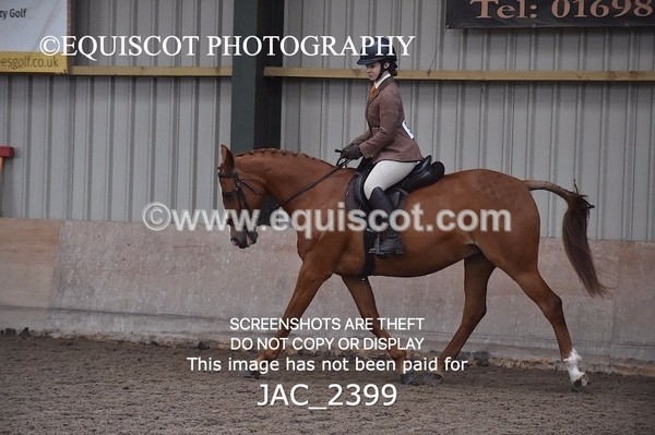 JAC_2399 - CLASS 3 Intermediate Working Hunter