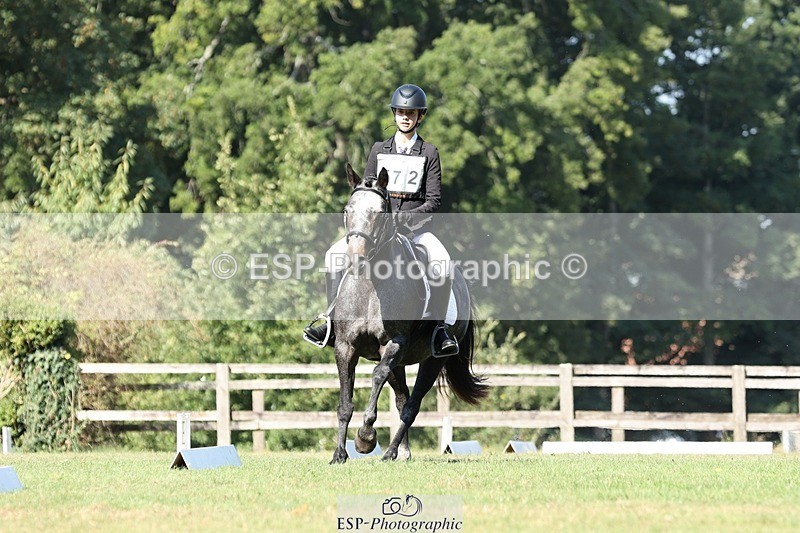 250823A-101920-26825 - Arena D