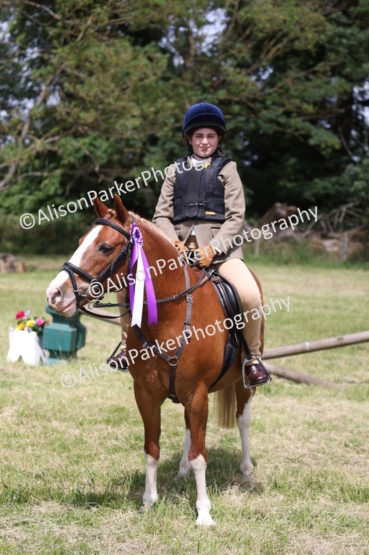 20260614-2159 - Class 21 - Novice Working Hunter Pony
