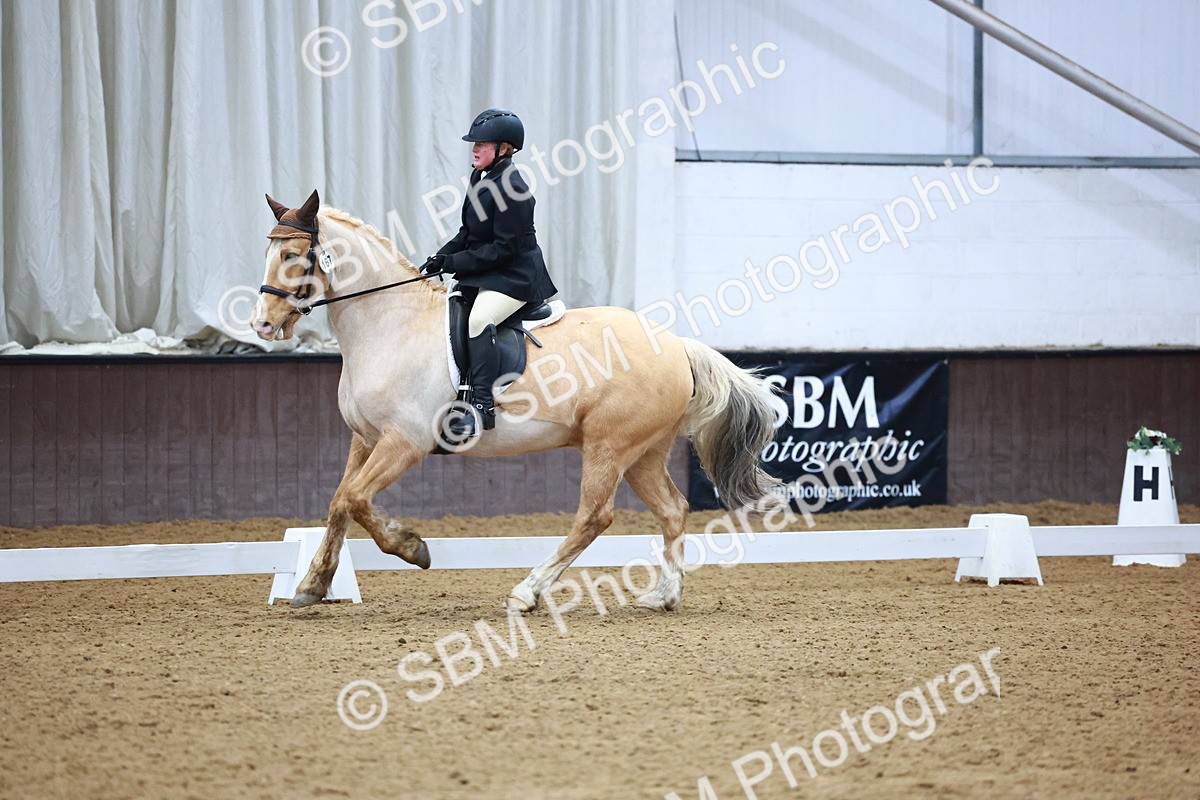 SBM_002781 - Novice Music