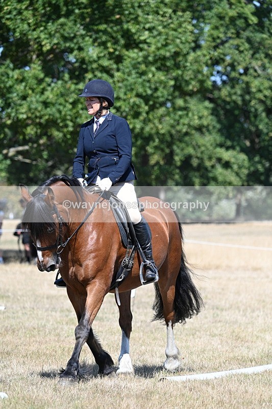 WJ7_0787 - Time 12:03 to 12:23