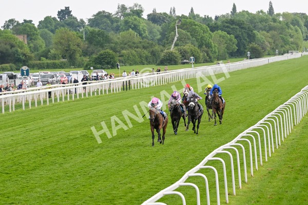 170524-Race 5-Lead Artist-8302 - Race 5 4.15pm  Darley EBF Novice Stakes