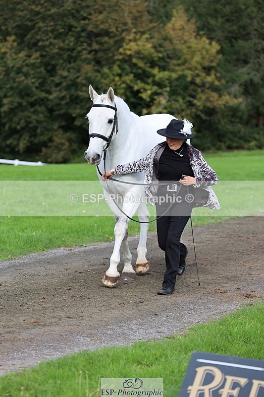 251026A-120710-25898 - G-522-Sue.Parkes Inc Trot Up