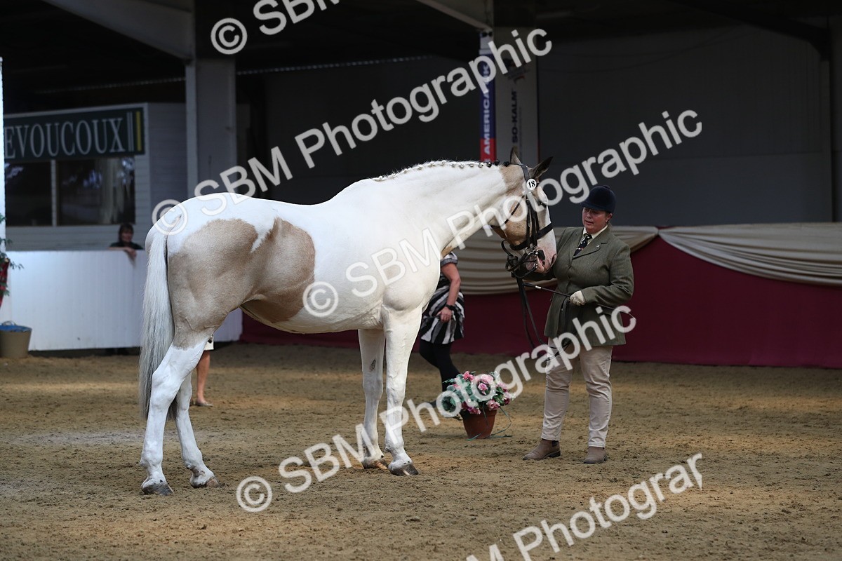 SBM_06225 - Class 9R Regional- IH Pre Vet