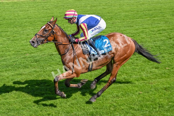 110725-Race 4-Dain Ma Nut In-4302 - Race 4 3.55pm Azets Handicap