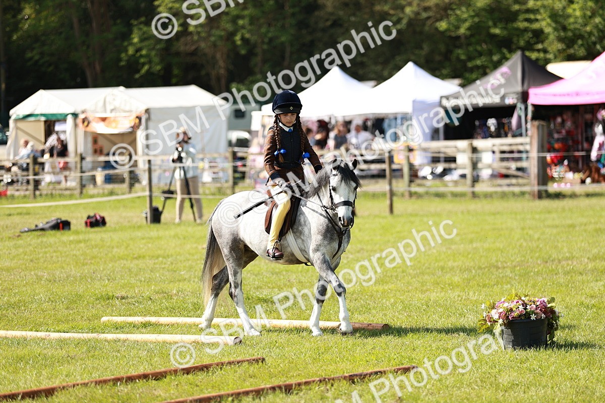 SBM_12650 - Class 106-107 - BSPS LIHS Working Sports Pony
