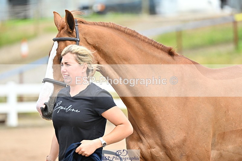 240718A-105324-01948 - Trot Up 2pm to 3pm - This folder is not in time order