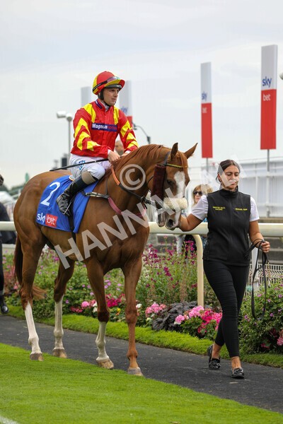 yr23072022r2-6 - Race 2 2.40pm Sky Bet Dash