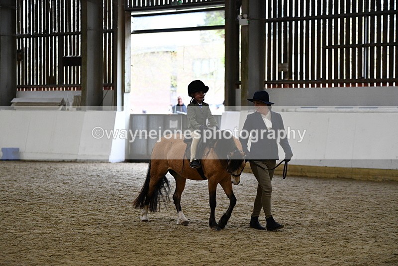WJ5_6751 - Class 10 Childs Pony