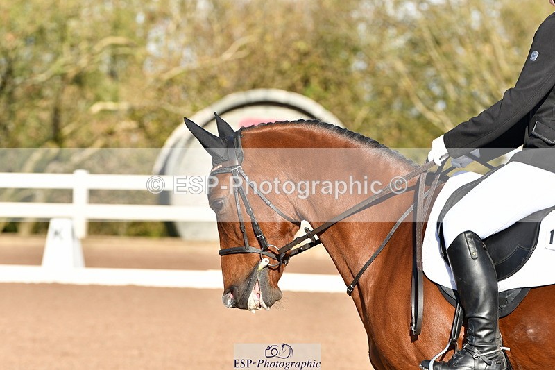 231105A-102532-00100 - UnAf Prelim 12