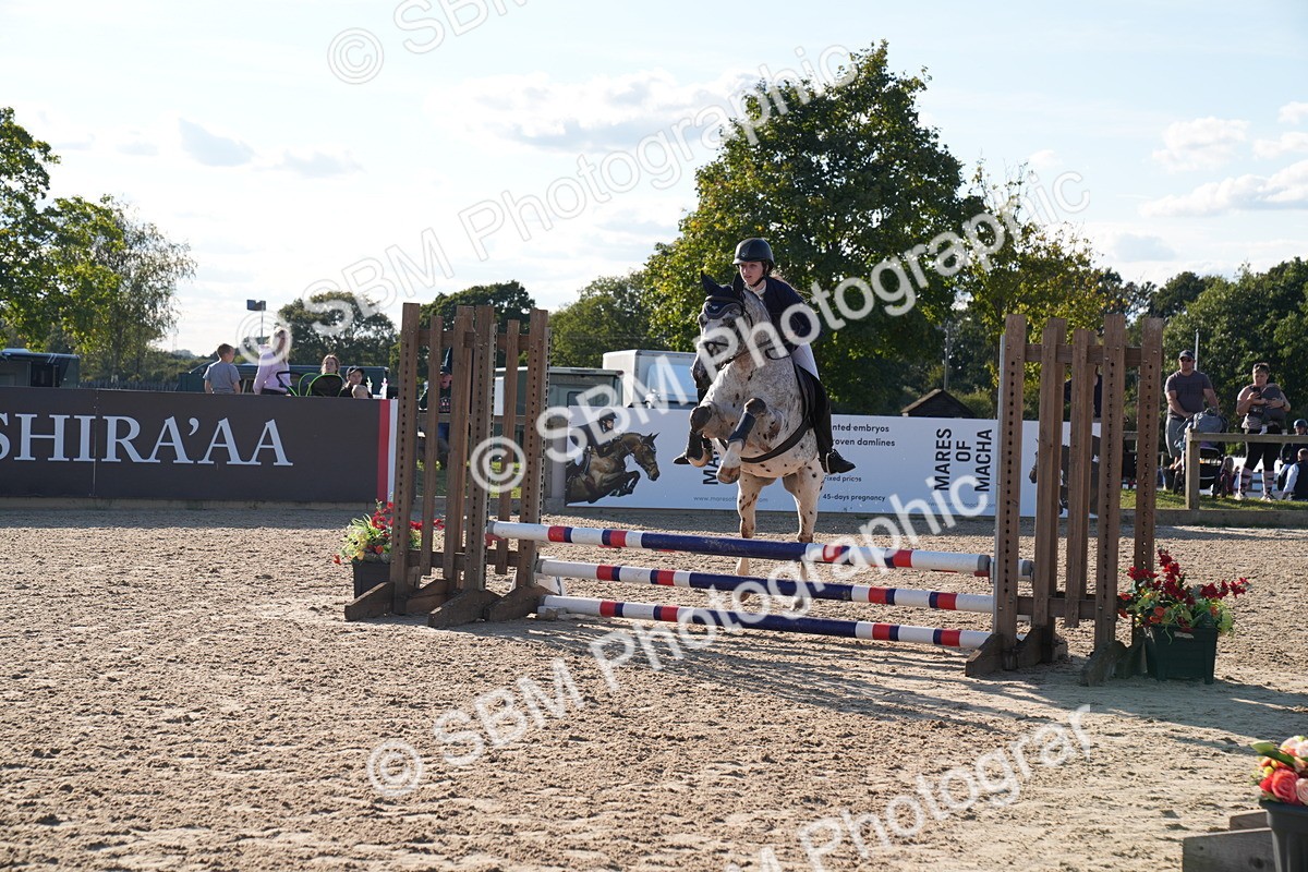 SBM_28033 - J43 - Super Speedy Scurry Open - 60cm