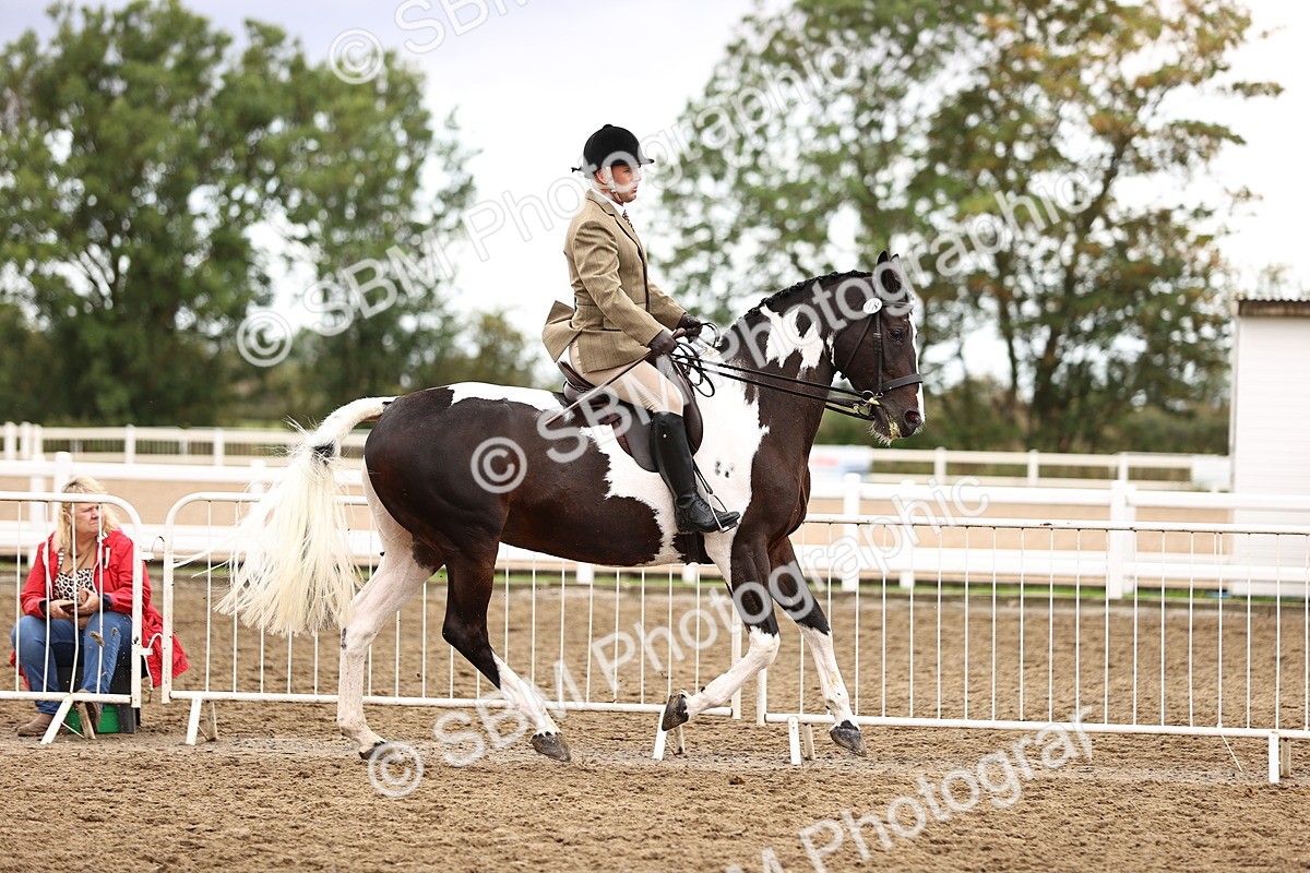 SBM_00644 - Class 53 - Ridden Competition Horse Pony