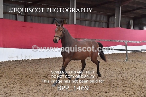 BPP_1469 - MORNING 9AM - 12PM