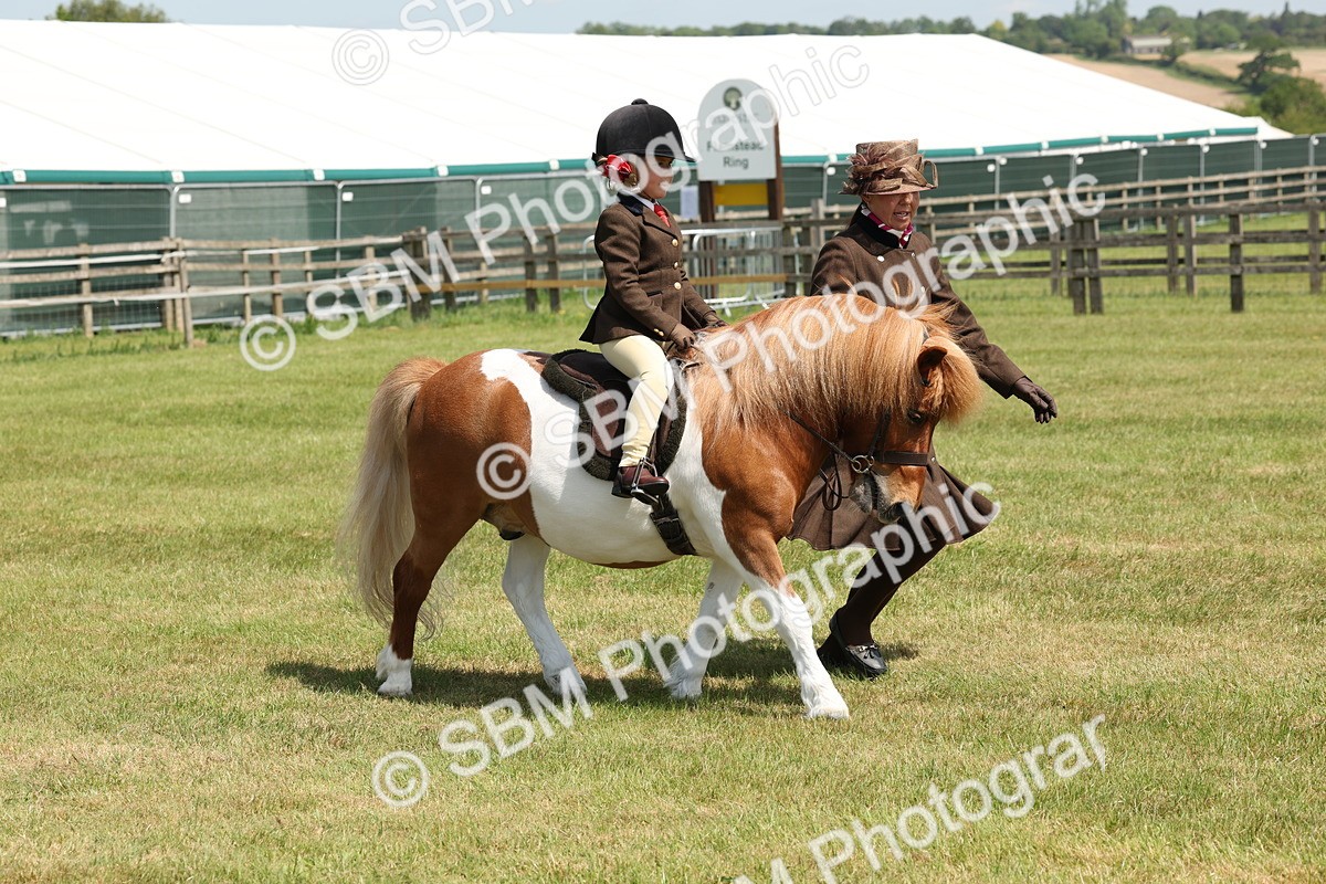 SBM_05263 - Class 24-25 - Mountain & Moorland In Hand Lead Rein and First Ridden