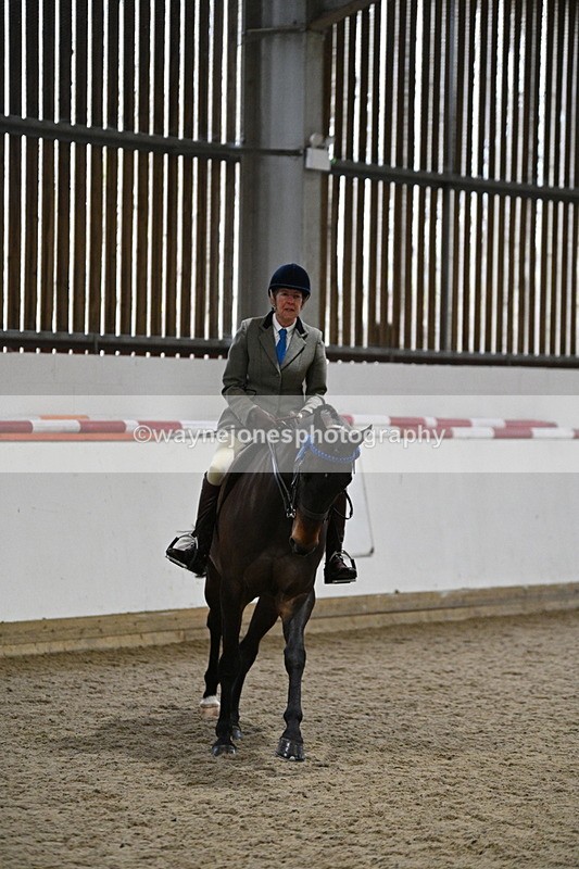 WJ7_4282 - Class 17 Ridden Cob