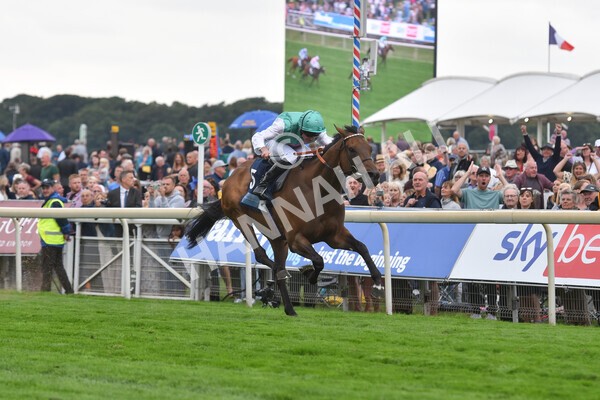 yr18082022r5-28 - Race 5 4.10pm British EBF & Sir Henry Cecil Galtres Stakes
