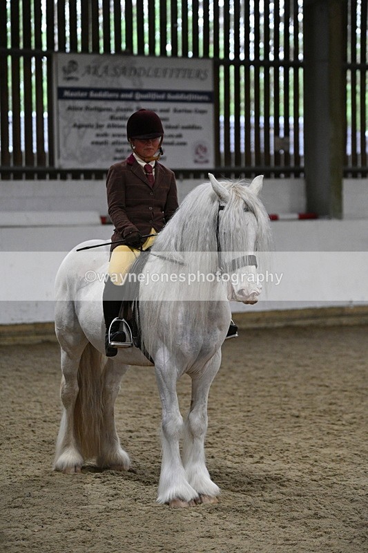 WJ7_3911 - Class 17 Ridden Cob