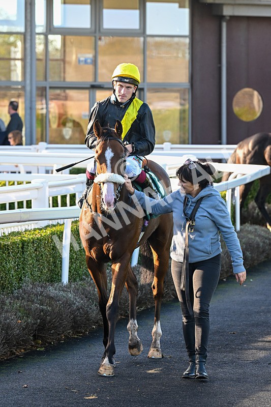 291024-Race 1-Hi Lord-5691 - Race 1