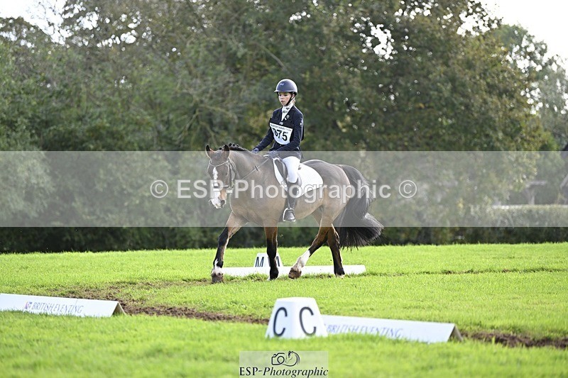 241025-121249-07033 - 375-Erin.Brown-50.SHADES.OF.BAY