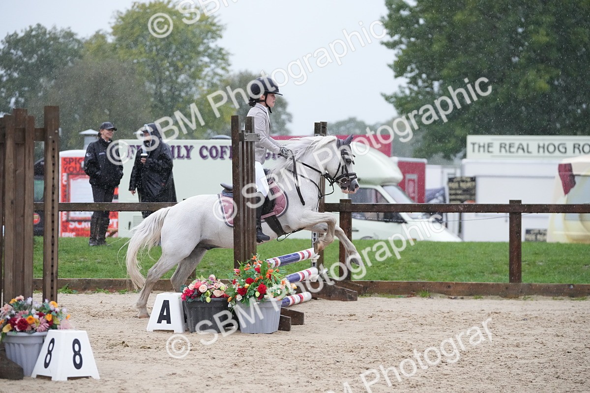 SBM_36136 - J5 - Junior Pony 50cm Championship
