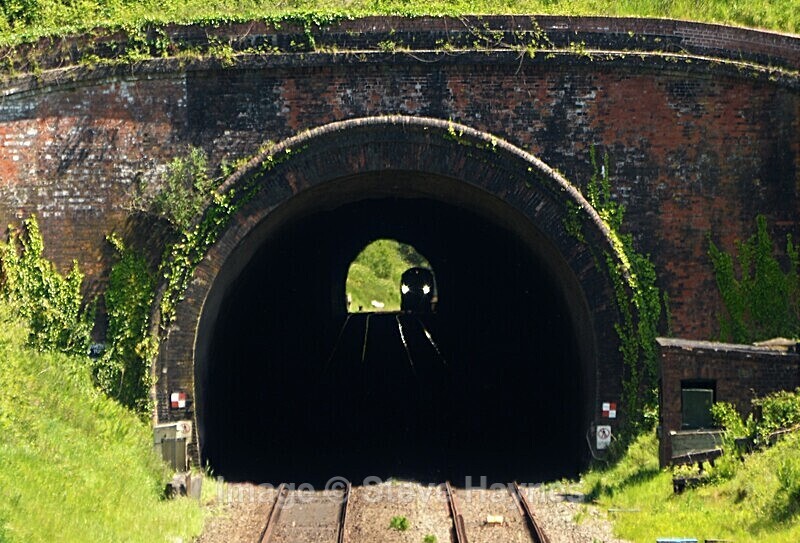 27th May 2023 - Whiteball, Somerset