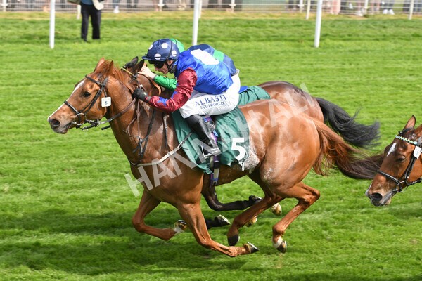 yr12052022r3-19 - Race 3 3.00pm The Paddy Power Hambleton Stakes