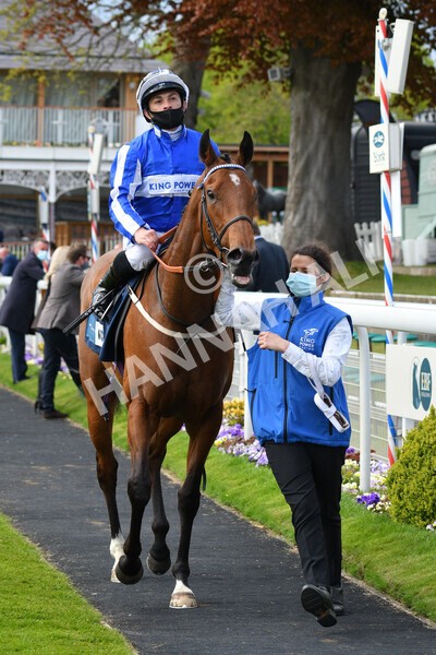 yr13052021r5-35 - Race 5 3.40pm British Stallion Studs EBF Westow Stakes
