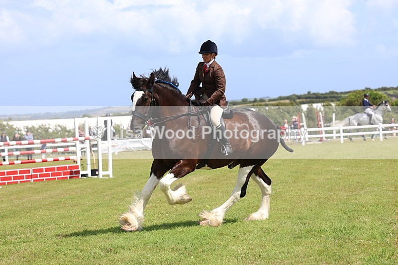 3E7A2899 - Class 13: Heavy Horse Ridden