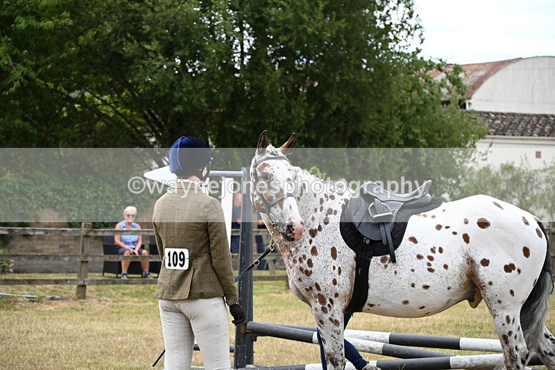 WJ6_3835 - Class 9 Tack & Turnout