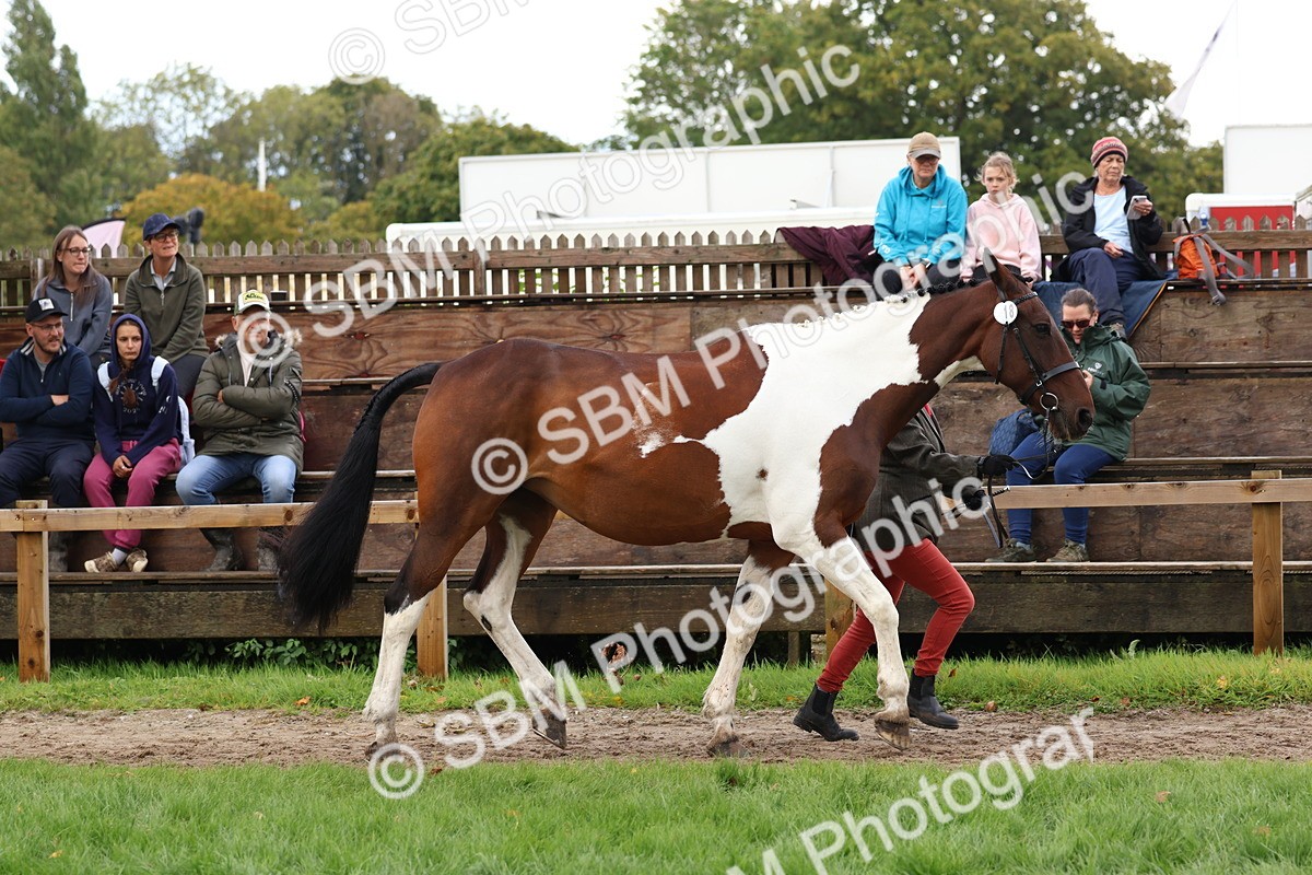 SBM_39475 - S24 - Young Veteran In Hand