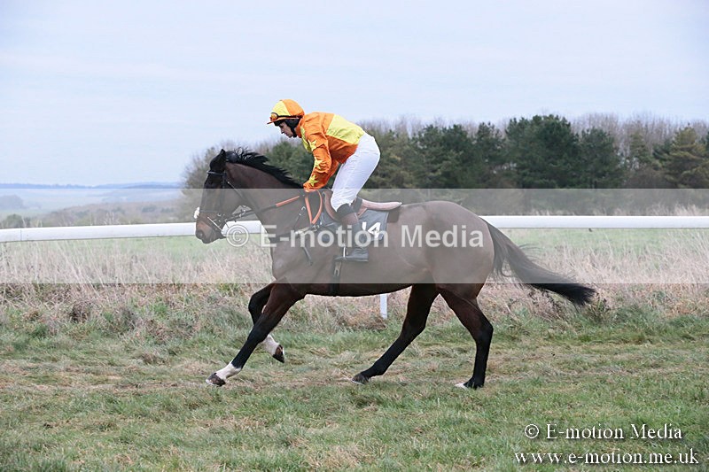 PtP 060119 519 - Larkhill Racing Club - Point-to-Point- 06/01/2019