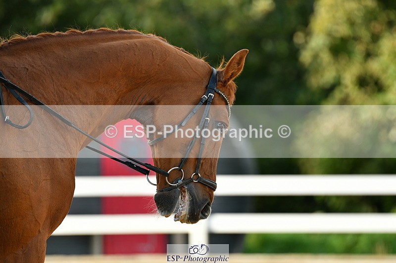 230912A-172511-02010 - Cls 23 FEI Grand Prix