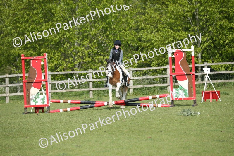 20260426-0180 - Class 13 - Rookie Jumping 50cm