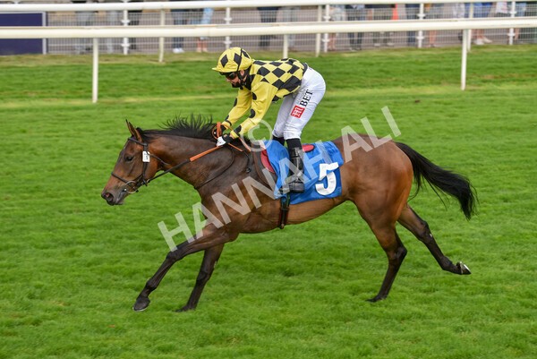 yr23072021r3-34 - Race 3 7.00pm The JKH 80th Birthday Celebration EBF Novice Median Auction Stakes (Plus 10 Race)