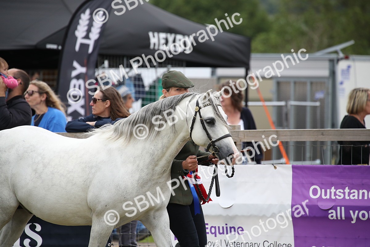 SBM_09732 - Ch 50 - Price Family Supreme In Hand