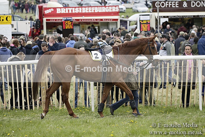 PtP 170417 471 - Old Berks Point-to-Point Lockinge 17/04/17