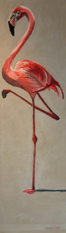 Pink Flamingo - Paintings